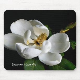 Südliche Magnolie Mousepad