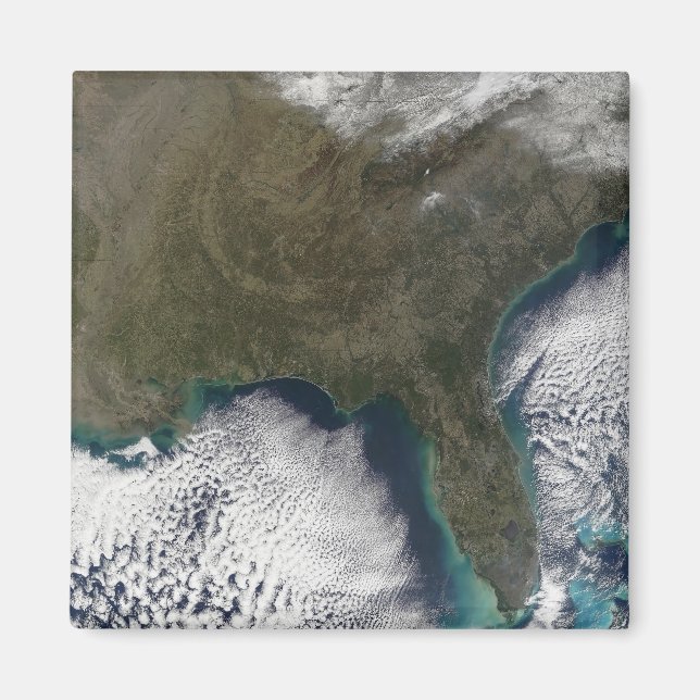 Südliche USA Magnet (Vorne)