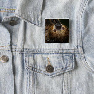 Südliche Zwei-Toed Trägheit Button