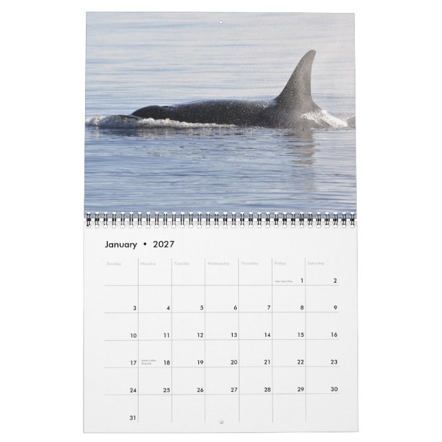 Südlicher ResidentKillerwale ~ 2012 Kalender (Jan 2027)