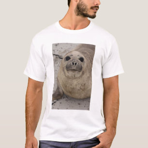 Südlicher See-Elefant Mirounga leonina) T-Shirt