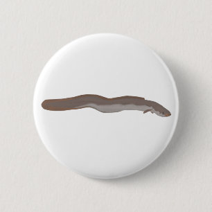 Südlicher Shortfin Button