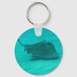 Südlicher Stingray 2 Schlüsselanhänger