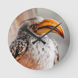 Südliches Gelbschildkröte Runde Wanduhr