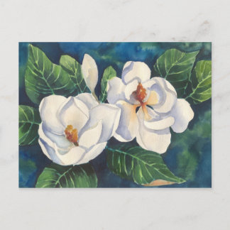 Südmagnolien Postkarte