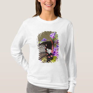Südostasien, Thailand, Doi Inthanon, Papilio T-Shirt