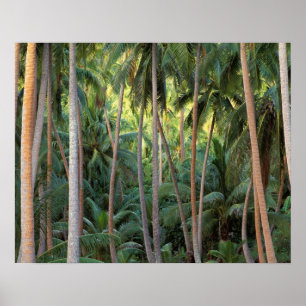 Südpazifik, Französisch-Polynesien, Bora Bora. Poster