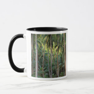 Südpazifik, Französisch-Polynesien, Bora Bora. Tasse