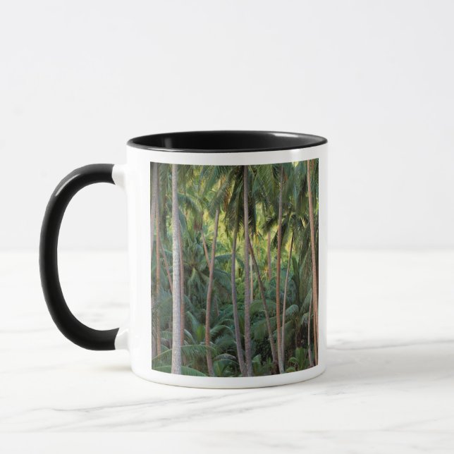 Südpazifik, Französisch-Polynesien, Bora Bora. Tasse (Links)