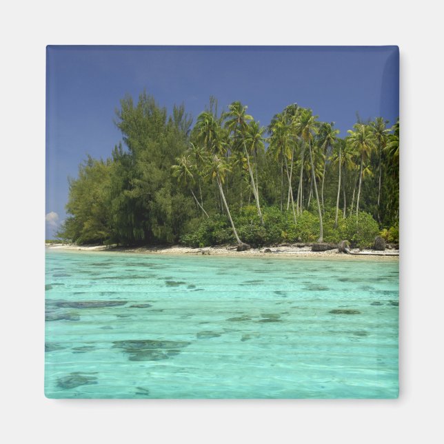 Südpazifik, Französisch-Polynesien, Moorea 2 Magnet (Vorne)