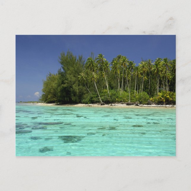 Südpazifik, Französisch-Polynesien, Moorea 2 Postkarte (Vorderseite)
