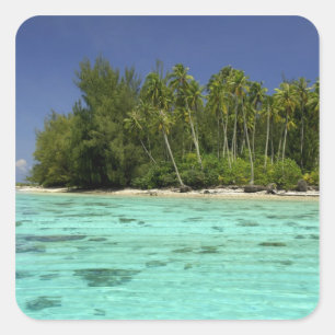 Südpazifik, Französisch-Polynesien, Moorea 2 Quadratischer Aufkleber