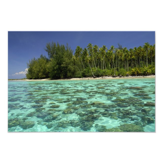 Südpazifik, Französisch-Polynesien, Moorea 3 Fotodruck (Vorne)
