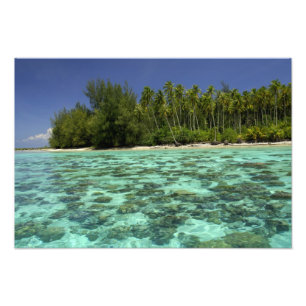 Südpazifik, Französisch-Polynesien, Moorea 3 Fotodruck