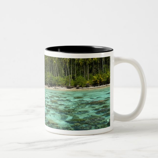 Südpazifik, Französisch-Polynesien, Moorea 3 Zweifarbige Tasse (Rechts)