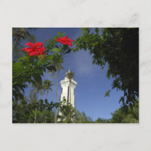 Südpazifik, Französisch-Polynesien, Tahiti. HIBISK Postkarte