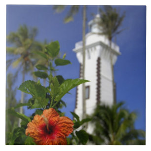 Südpazifik, Französisch-Polynesien, Tahiti.Hibisku Fliese