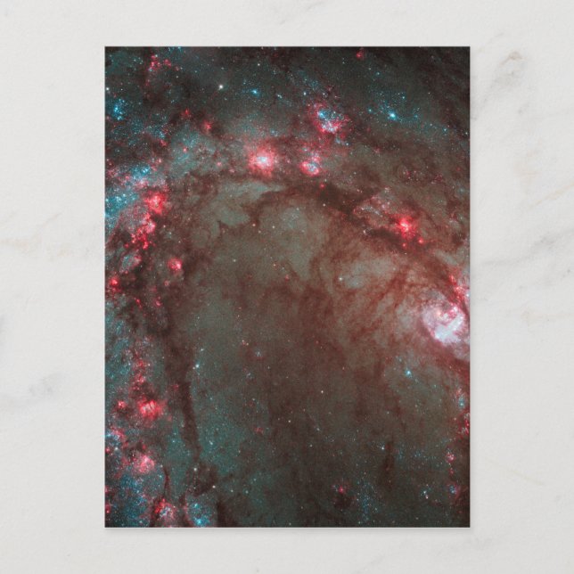 Südpinrad Postkarte (Vorderseite)