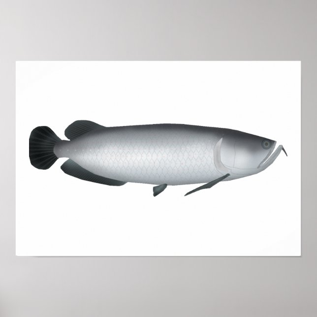 Südsaratoga Poster (Vorne)