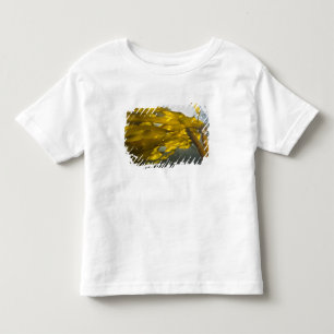 Südseite von Ewing Island, San Juan Islands, Kleinkind T-shirt