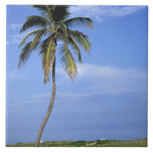 Südstrand, Miami Beach, Florida, USA Fliese