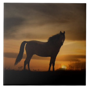 Südwesten von Ross und Sun Art Tile Fliese