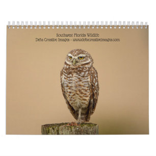 Südwestflorida Wildlife 2025 Kalender