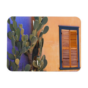 Südwestlicher Kaktus (Opuntia dejecta) und Magnet
