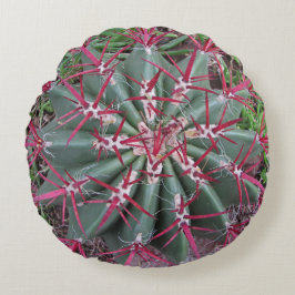 Südwestwüste Pflanze Foto Roter Barrel Cactus Rundes Kissen