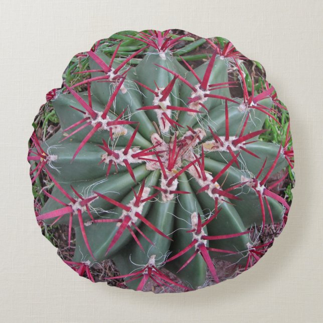 Südwestwüste Pflanze Foto Roter Barrel Cactus Rundes Kissen (Vorderseite)