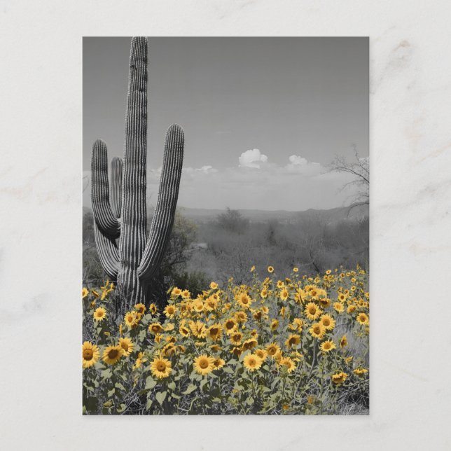 Südwestwüste Saguaro Kaktus und Sonnenblumen Postkarte (Vorderseite)