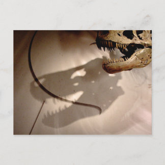 Sue's Shadow Postkarte