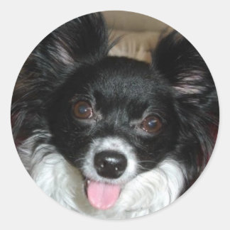 Sugar Baby Runder Aufkleber