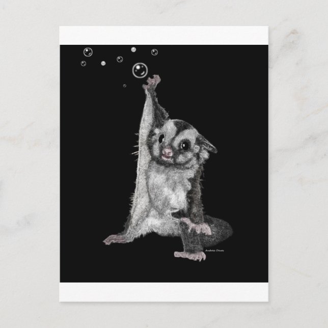 Sugar Glider Bubbles Postkarte (Vorderseite)