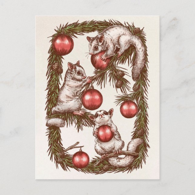 Sugar Glider Christmas Postcard Feiertagspostkarte (Vorderseite)