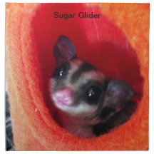 Sugar Glider in Orange Hanging Bed Cloth Napkin