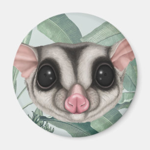 Sugar Glider Magnet
