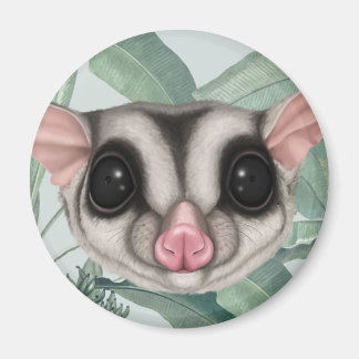 Sugar Glider Magnet