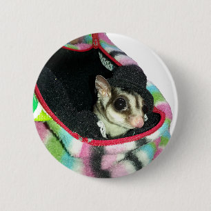 Sugar Glider mit einem Hut Button