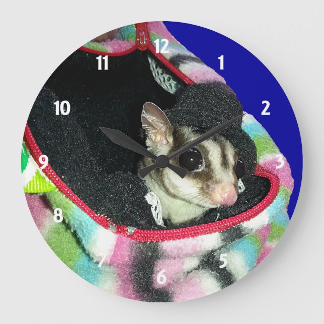 Sugar Glider mit einem Hut Große Wanduhr (Vorderseite)