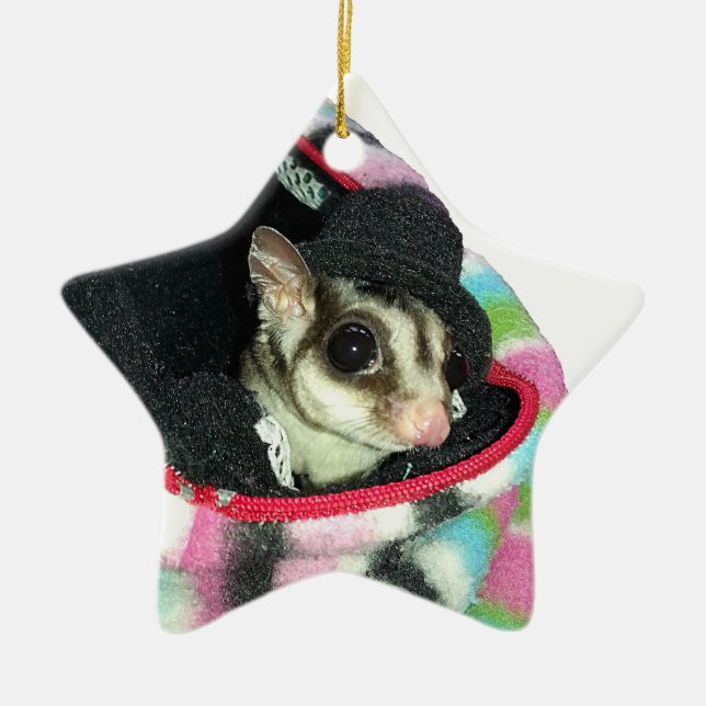 Sugar Glider mit einem Hut Keramikornament (Vorne)