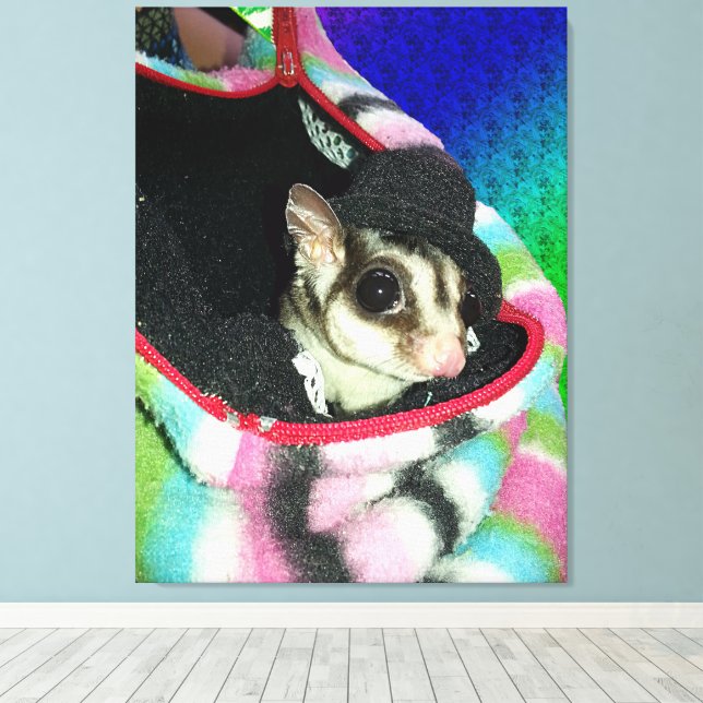 Sugar Glider mit einem Hut Leinwanddruck (Insitu (Holzboden))