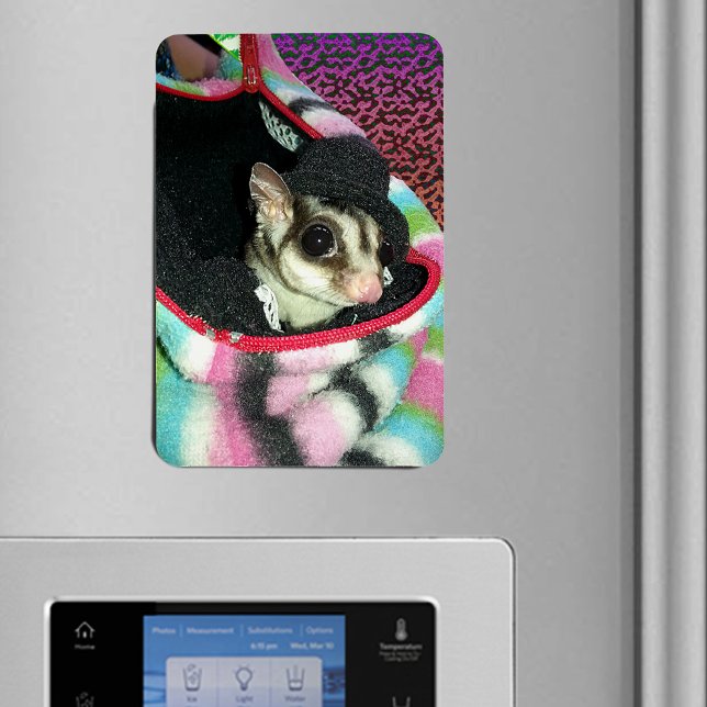 Sugar Glider mit einem Hut Magnet (Sugar Glider Wearing a Hat Flexible Magnet)