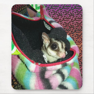 Sugar Glider mit einem Hut Mousepad