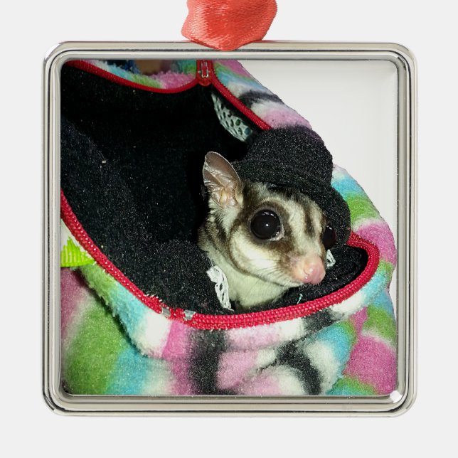 Sugar Glider mit einem Hut Ornament Aus Metall (Vorne)