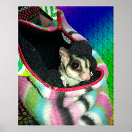 Sugar Glider mit einem Hut Poster