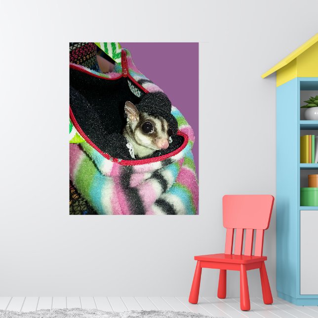 Sugar Glider mit einem Hut Poster (Kinderzimmer 1)