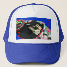 Sugar Glider mit einem Hut