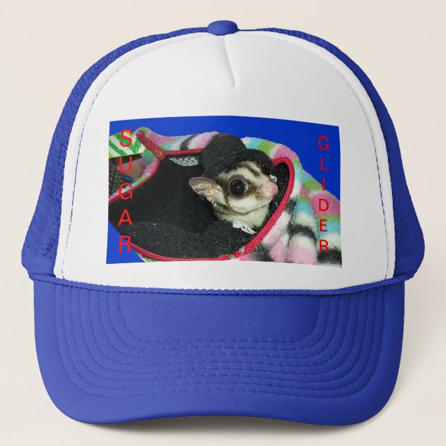 Sugar Glider mit einem Hut Truckerkappe (Vorderseite)