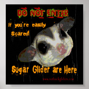 Sugar Glider Poster